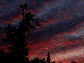 архангельская область. авторские фототуры по архангельской области. рыболовные туры в архангельской области. рыбалка. вечерняя заря лето архангельская область. авторские фототуры по архангельской области. рыболовные туры в архангельской области. рыбалка. вечерняя заря лето